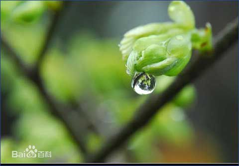 喜訊！2017新年開工第一份中標(biāo)通知書